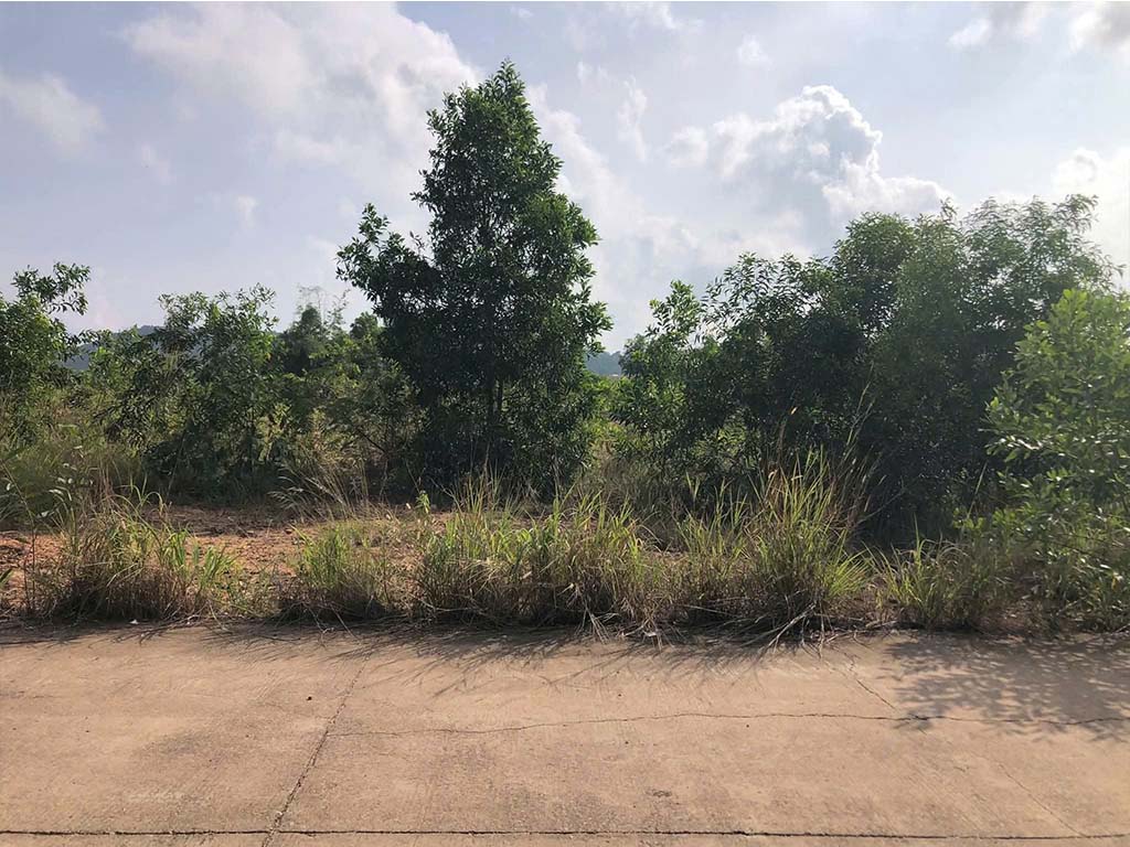 Bán đất 356m² khu phố 4 An Thới Phú Quốc – Đường ô tô, sổ riêng, giá 2,8 tỷ