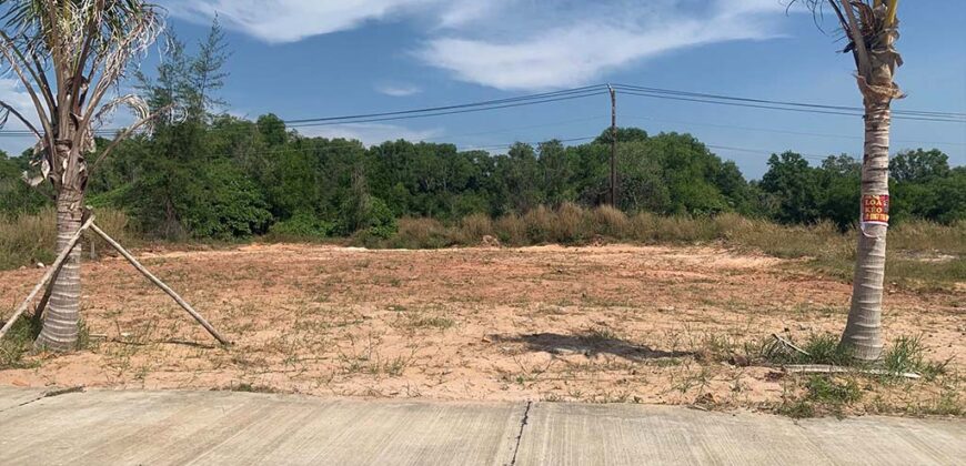 Cho Thuê Đất Mặt Biển Bãi Trường Dương Tơ Phú Quốc 500m2